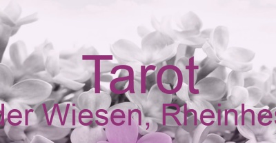 Tarot Nieder Wiesen, Rheinhessen | Top-Experten für Kartenlegen, Wahrsagen, Hellsehen, Zukunftsdeutung.